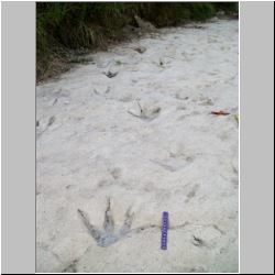 100_0346 (2009-25-07)m.JPG